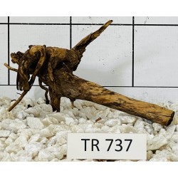 Spiderwood 737