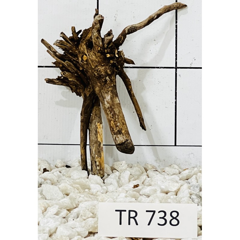 Spiderwood 738