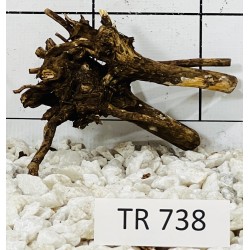 Spiderwood 738