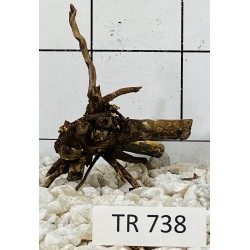 Spiderwood 738