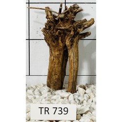 Spiderwood 739