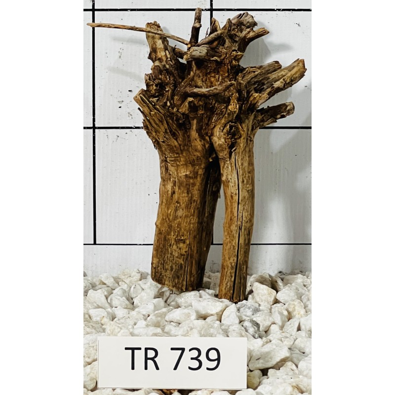 Spiderwood 739