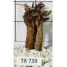 Spiderwood 739