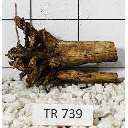 Spiderwood 739