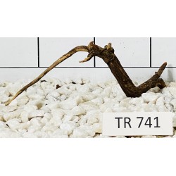 Spiderwood 741