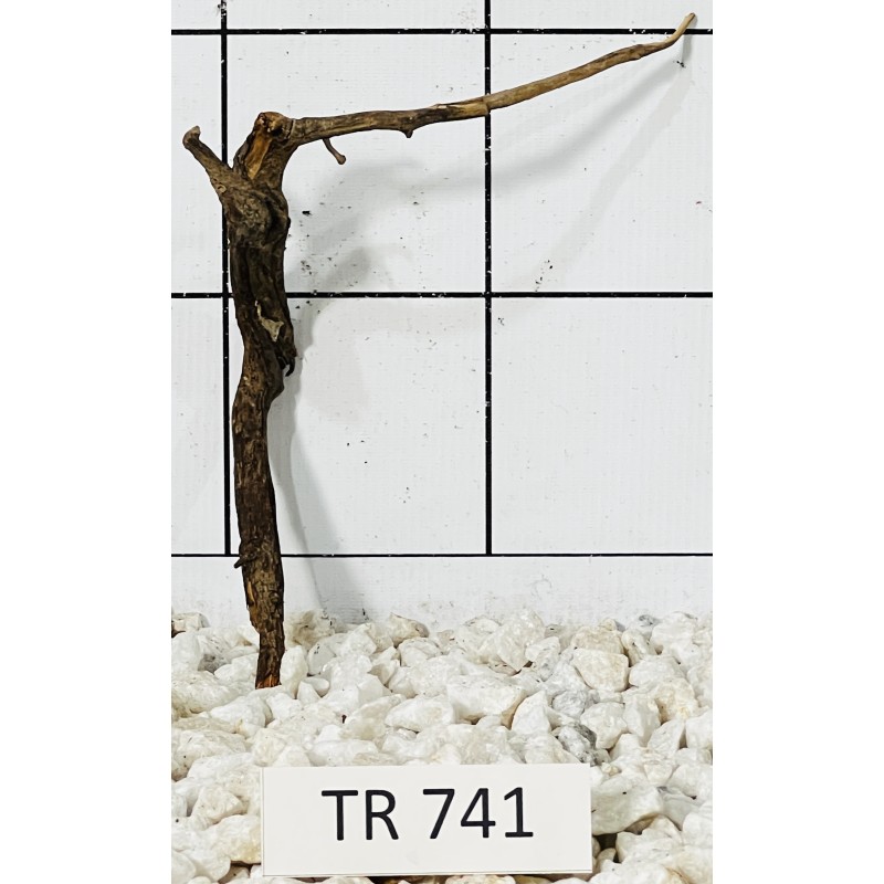 Spiderwood 741