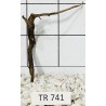 Spiderwood 741