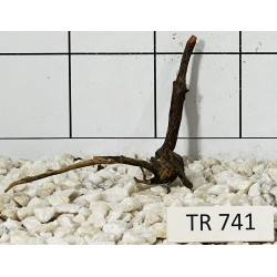 Spiderwood 741