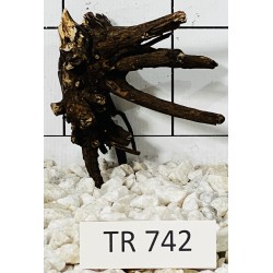 Spiderwood 742