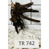 Spiderwood 742