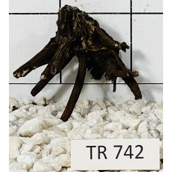 Spiderwood 742