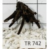 Spiderwood 742