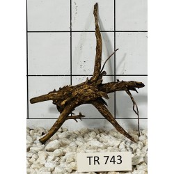 Spiderwood 743