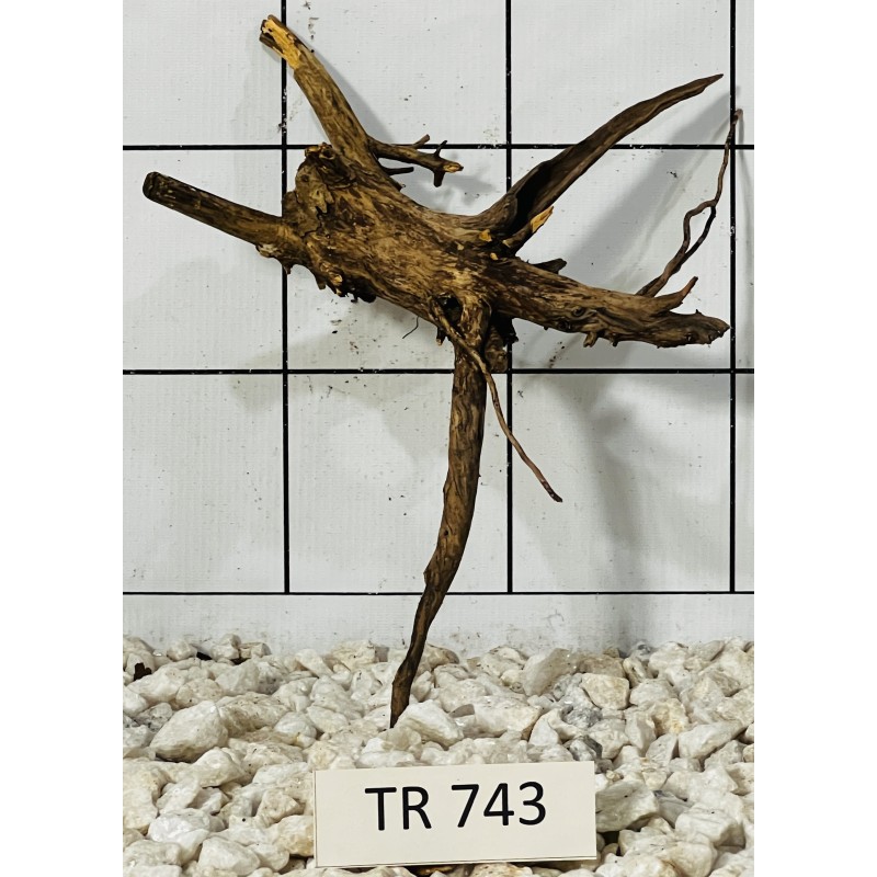 Spiderwood 743