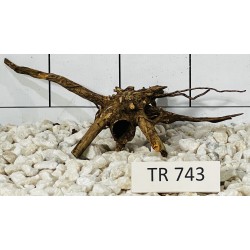Spiderwood 743