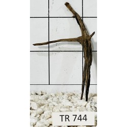 Spiderwood 744