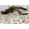 Spiderwood 745