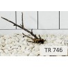 Spiderwood 746