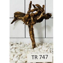 Spiderwood 747