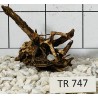 Spiderwood 747