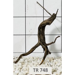 Spiderwood 748