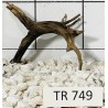 Spiderwood 749