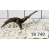 Spiderwood 749