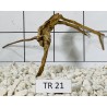 Spiderwood 21