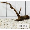 Spiderwood 751