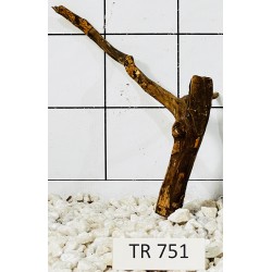 Spiderwood 751