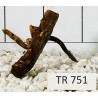 Spiderwood 751