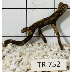 Spiderwood 752