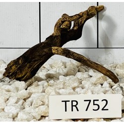Spiderwood 752