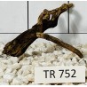 Spiderwood 752
