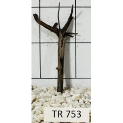 Spiderwood 753