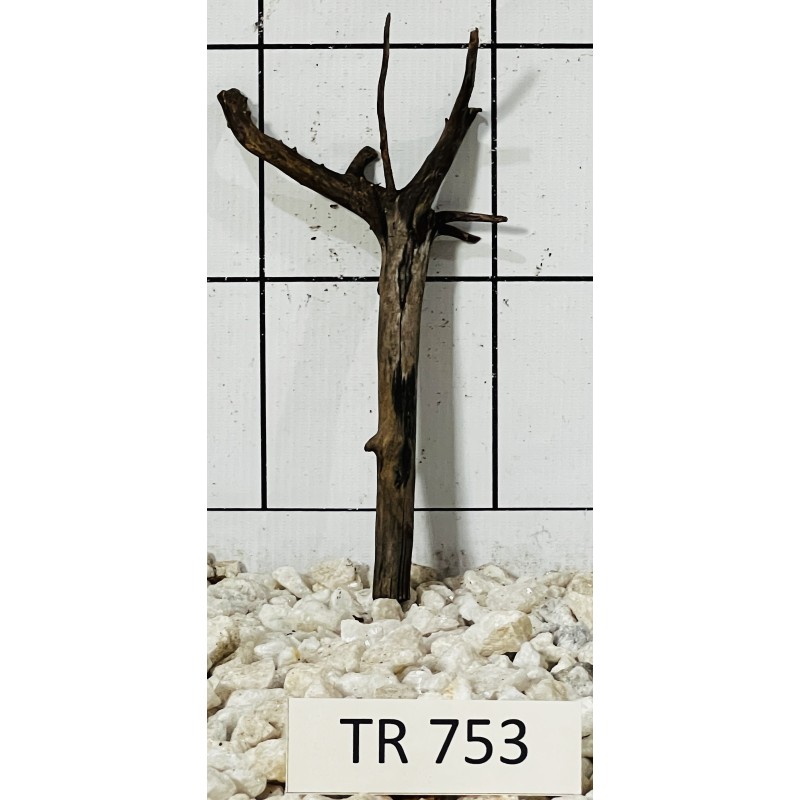 Spiderwood 753