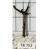 Spiderwood 753