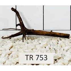 Spiderwood 753
