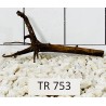 Spiderwood 753