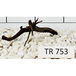 Spiderwood 753