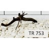Spiderwood 753