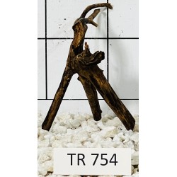 Spiderwood 754