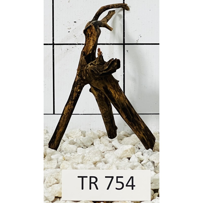 Spiderwood 754