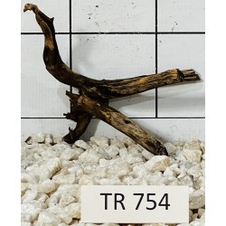 Spiderwood 754