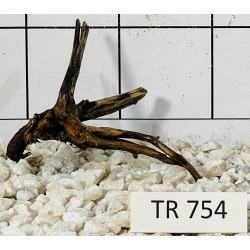 Spiderwood 754