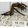 Spiderwood 755