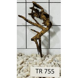 Spiderwood 755