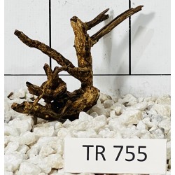 Spiderwood 755