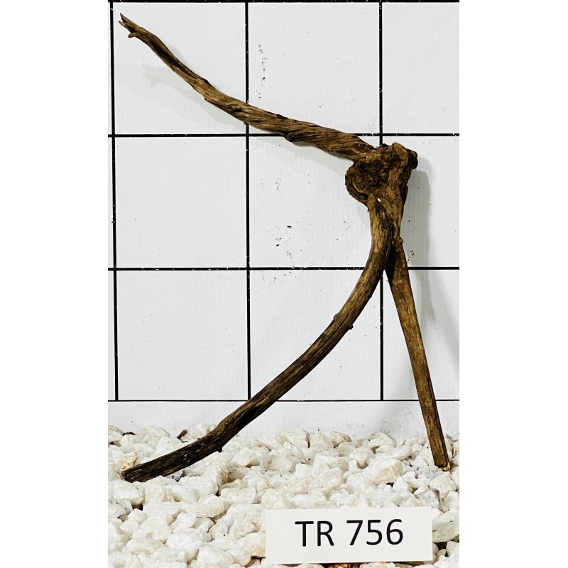Spiderwood 756