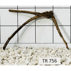 Spiderwood 756